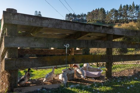 Photo of property in 896 Haruru Road, Wainui, Kaukapakapa, 0873