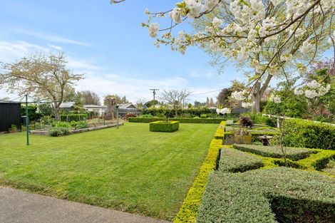 Photo of property in 41 Tui Street, Pahiatua, 4910