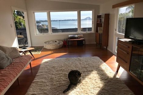 Photo of property in 14 Anchorage Grove, Maungatapu, Tauranga, 3112