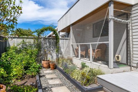 Photo of property in 223a Redwood Street, Witherlea, Blenheim, 7201