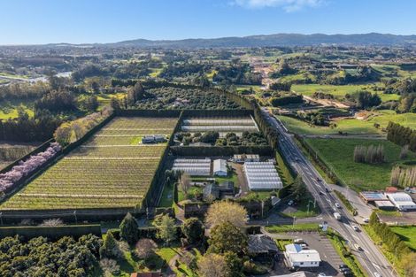 Photo of property in 8a Clarke Road, Te Puna, Tauranga, 3176