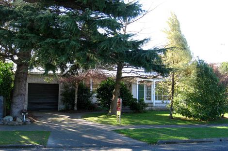 Photo of property in 119 Dittmer Drive, West End, Palmerston North, 4412