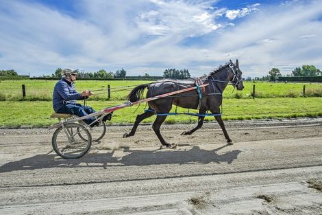 Photo of property in 139 Harmans Road, Leeston, 7682