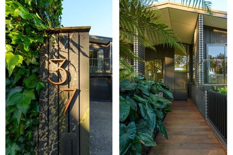 Photo of property in 37 Fourteenth Avenue, Tauranga South, Tauranga, 3112