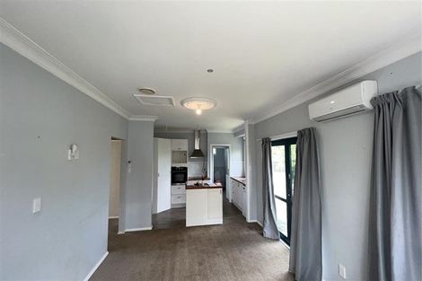 Photo of property in 48 Mabel Street, Levin, 5510