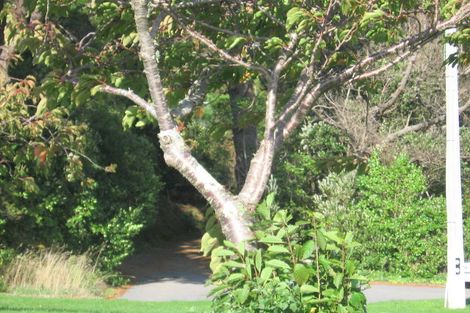 Photo of property in 66 Arawhata Street, Ranui, Porirua, 5024