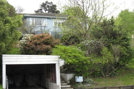 Photo of property in 60 Emano Street, Toi Toi, Nelson, 7010