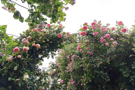 Photo of property in 37 Gillies Crescent, Waimarama, Havelock North, 4294