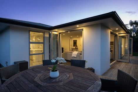 Photo of property in 115a Te Awe Awe Street, Hokowhitu, Palmerston North, 4410