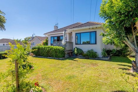 Photo of property in 64 Parker Avenue, Levin, 5510