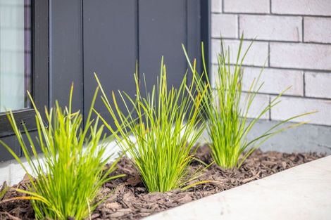 Photo of property in 252 Korimako Drive, Te Awamutu, 3800
