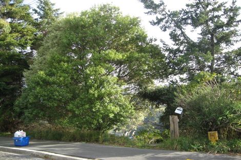 Photo of property in 167 Evans Street, Opoho, Dunedin, 9010