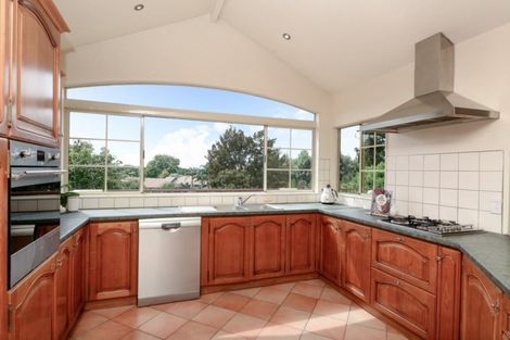 Photo of property in 19 Stella Place, Chartwell, Hamilton, 3210