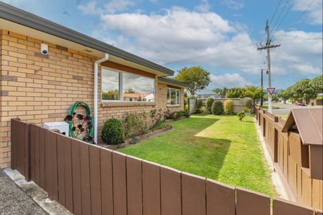 Photo of property in 26 Duke Street, Levin, 5510