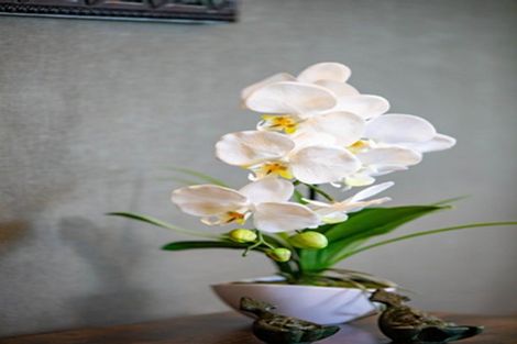 Photo of property in 24a Morris Road, Hillcrest, Hamilton, 3216