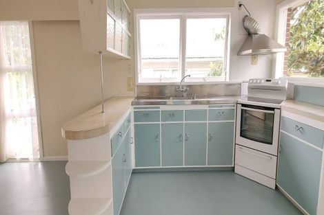 Photo of property in 46 Tiraumea Drive, Pakuranga, Auckland, 2010