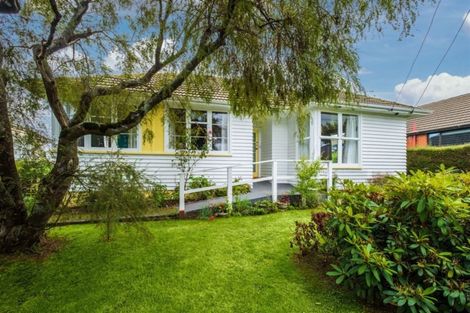 Photo of property in 131 Ashmore Street, Halfway Bush, Dunedin, 9010