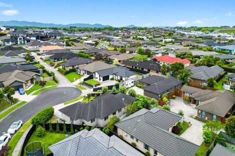 Photo of property in 20 Trauzer Place, Flagstaff, Hamilton, 3210