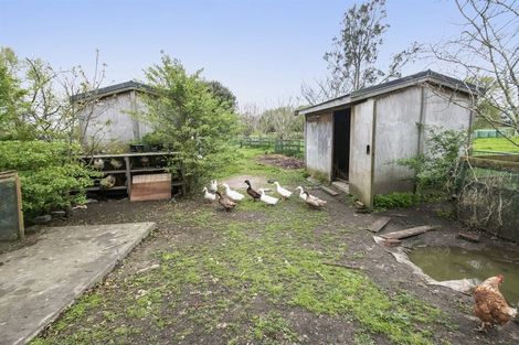 Photo of property in 143 Tirau Road, Cambridge, 3496