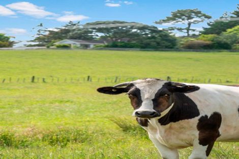 Photo of property in 522 Wainui Road, Wainui, Silverdale, 0992