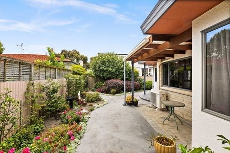Photo of property in 199a Kennedy Road, Marewa, Napier, 4110