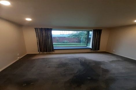 Photo of property in 23a Coppell Place, Hillmorton, Christchurch, 8025