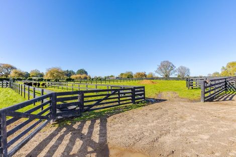 Photo of property in 503 Pickering Road, Tamahere, Hamilton, 3283