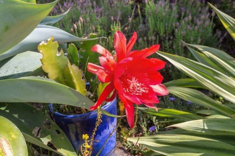 Photo of property in 62b Levley Lane, Katikati, 3129