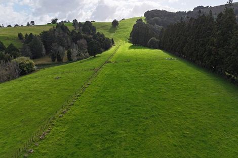 Photo of property in 5587 State Highway 12, Kaikohe, 0472