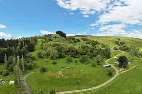 Photo of property in 61 Whites Road, Seacliff, Waikouaiti, 9471