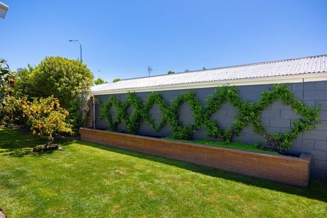 Photo of property in 99b Redwood Street, Redwoodtown, Blenheim, 7201