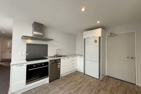 Photo of property in 100 Aro Street, Aro Valley, Wellington, 6021