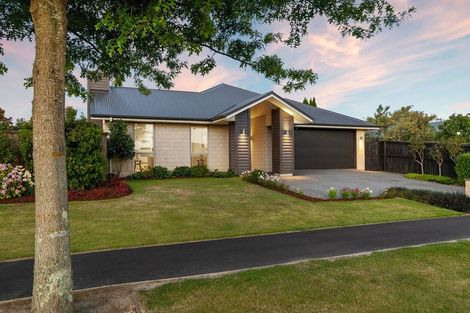 Photo of property in 16 Temple Avenue, Lincoln, 7608