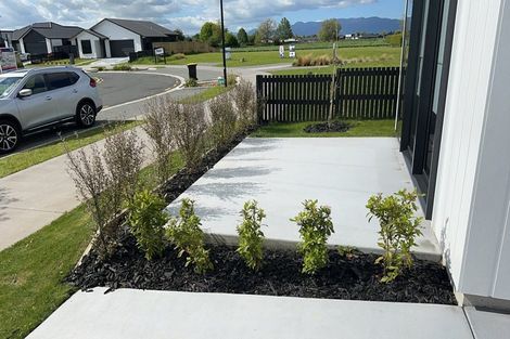 Photo of property in 57 Rangitihi Street, Matamata, 3400