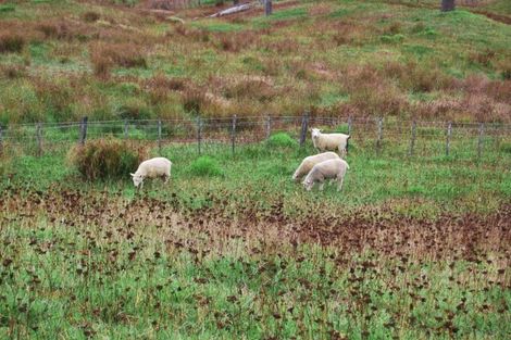 Photo of property in Centennial Park Road, Wellsford, 0900