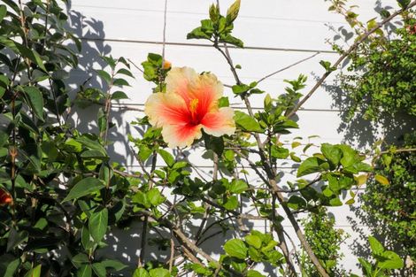 Photo of property in 107 Totara Close, Thames, 3500