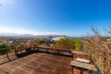 Photo of property in 100 Norfolk Street, Saint Clair, Dunedin, 9012