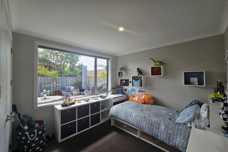 Photo of property in 50c Sixteenth Avenue, Tauranga South, Tauranga, 3112