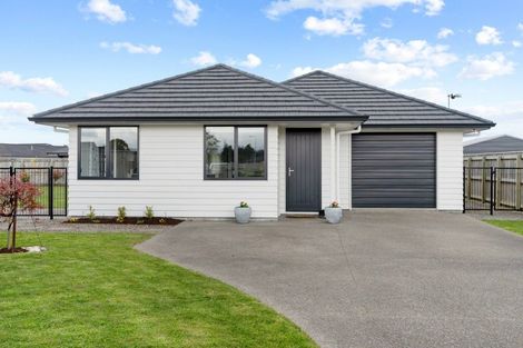 Photo of property in 6 Mitre Way, Solway, Masterton, 5810
