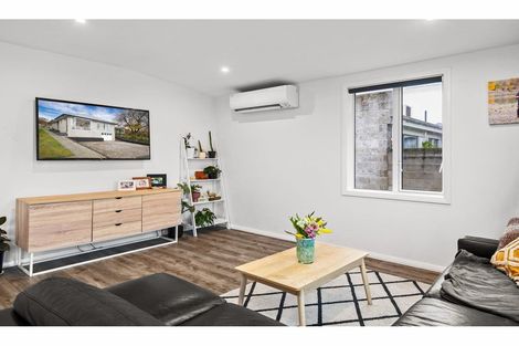 Photo of property in 117 Tarbert Street, Alexandra, 9320