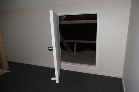 Photo of property in 30f Hogan Street, Hamilton East, Hamilton, 3216