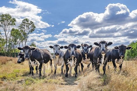 Photo of property in 538 Hoskyns Road, West Melton, Christchurch, 7675