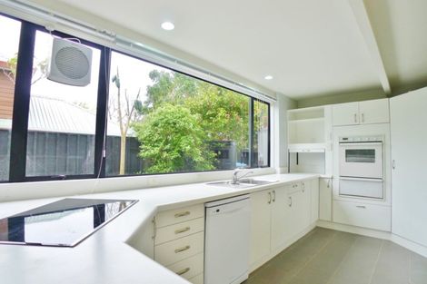 Photo of property in 101a Te Kawa Road, Greenlane, Auckland, 1061