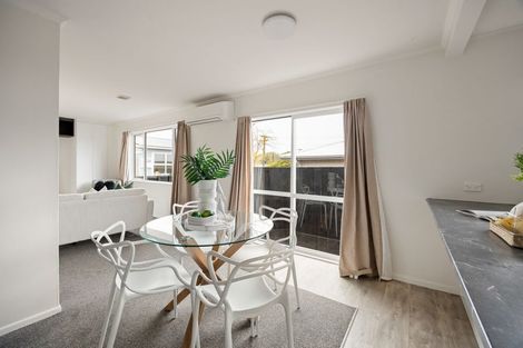 Photo of property in 18a Patrick Place, Fitzroy, Hamilton, 3206