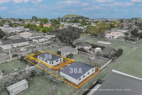 Photo of property in 36 Anderson Avenue, Point England, Auckland, 1072
