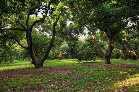 Photo of property in 37 Pahoia Beach Road, Whakamarama, Tauranga, 3172