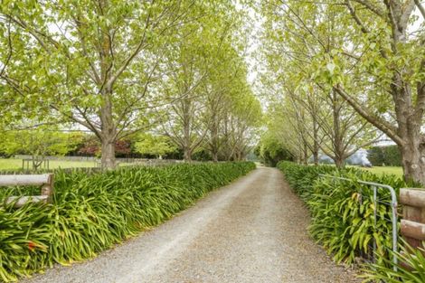 Photo of property in 62 Almadale Road, Cheltenham, Feilding, 4777