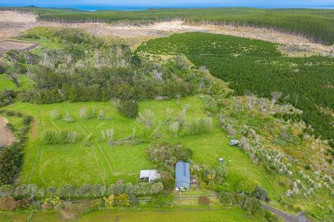 Photo of property in 118 Trig Road, South Head, Helensville, 0874