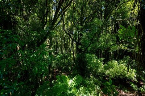 Photo of property in 89 Kaharoa Road, Hamurana, Rotorua, 3096