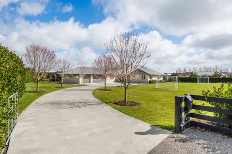 Photo of property in 25 Roots Street East, Feilding, 4702